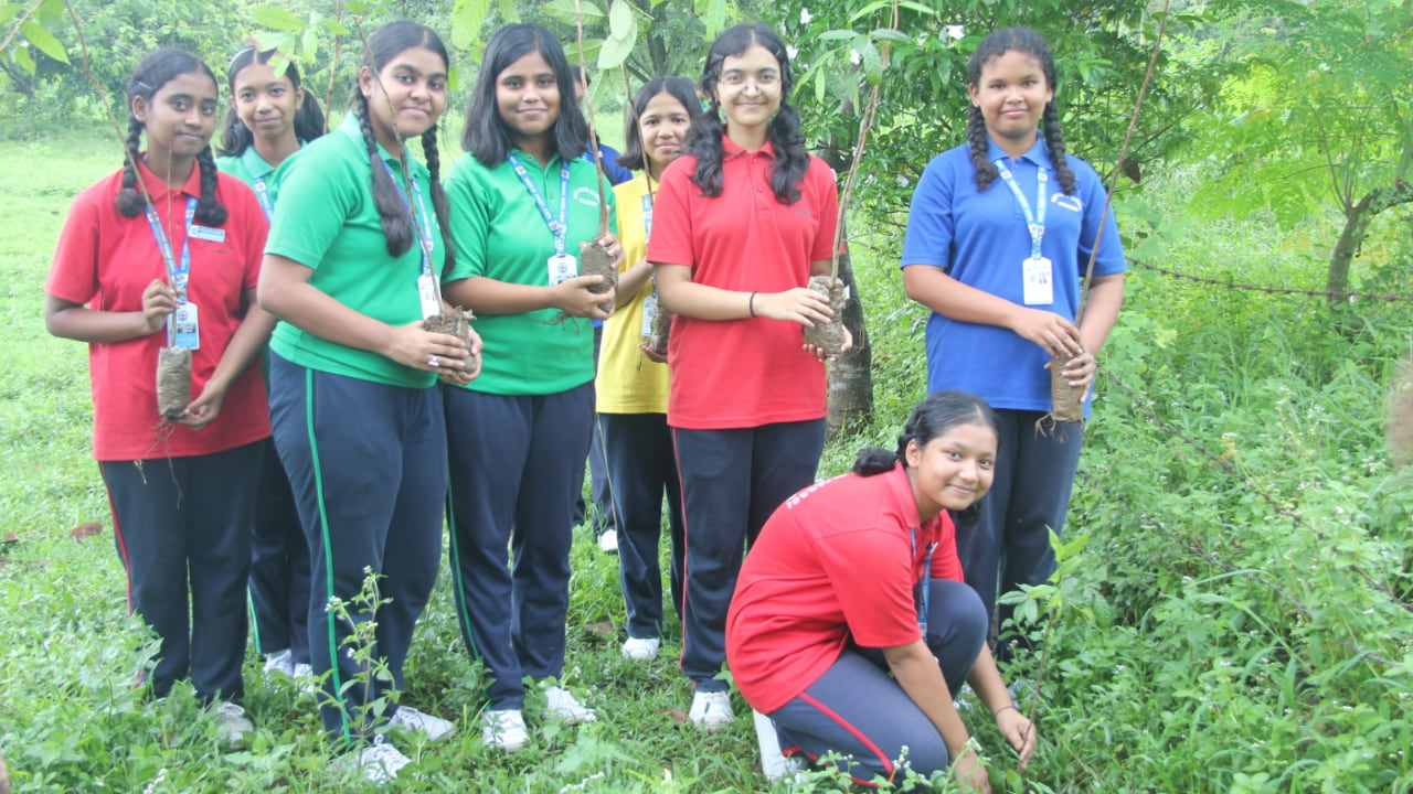 Tree Plantation